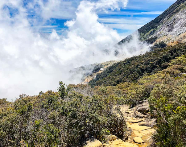What You Need To Know Before You Hike Mount Kinabalu